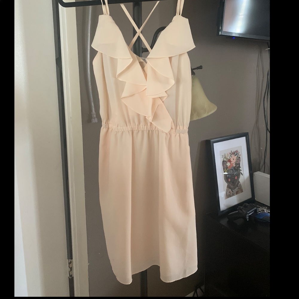 BCBGeneration Light Peach Dress, Semi-sheer